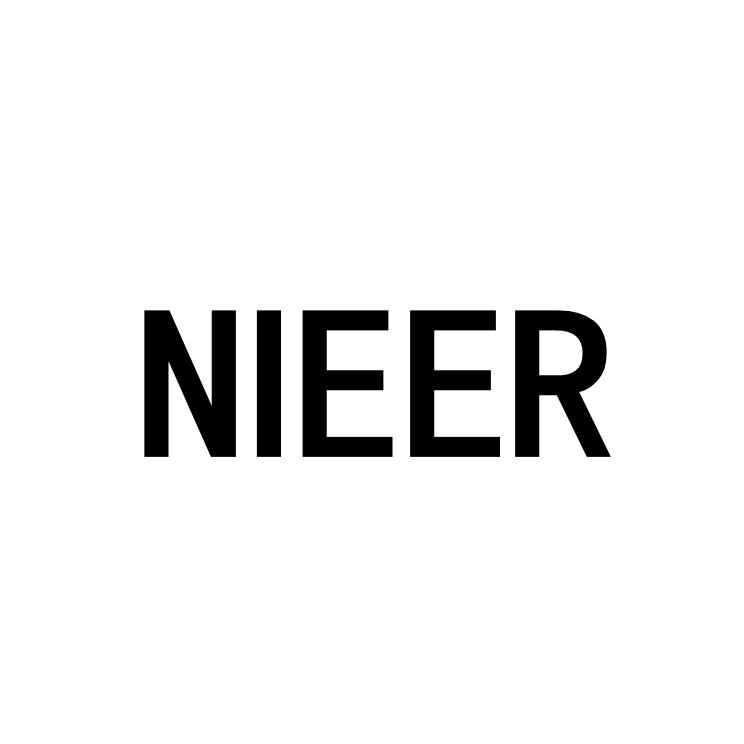 NIEER 15 乐器 66791955